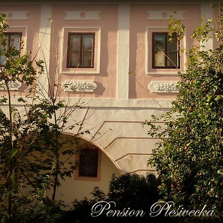 Pension Plesivecka 119 Czeski Krumlow Zewnętrze zdjęcie