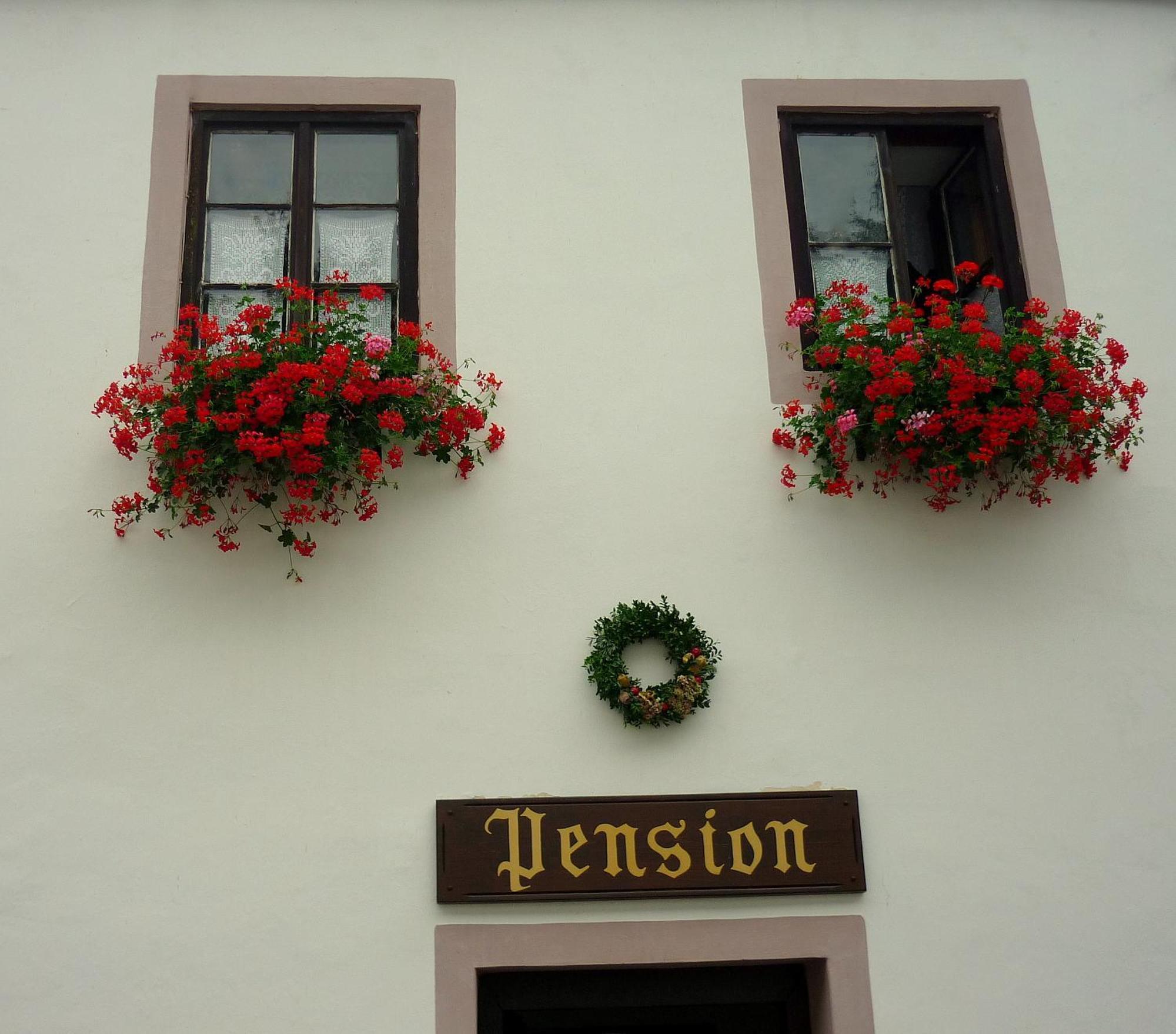 Pension Plesivecka 119 Czeski Krumlow Zewnętrze zdjęcie